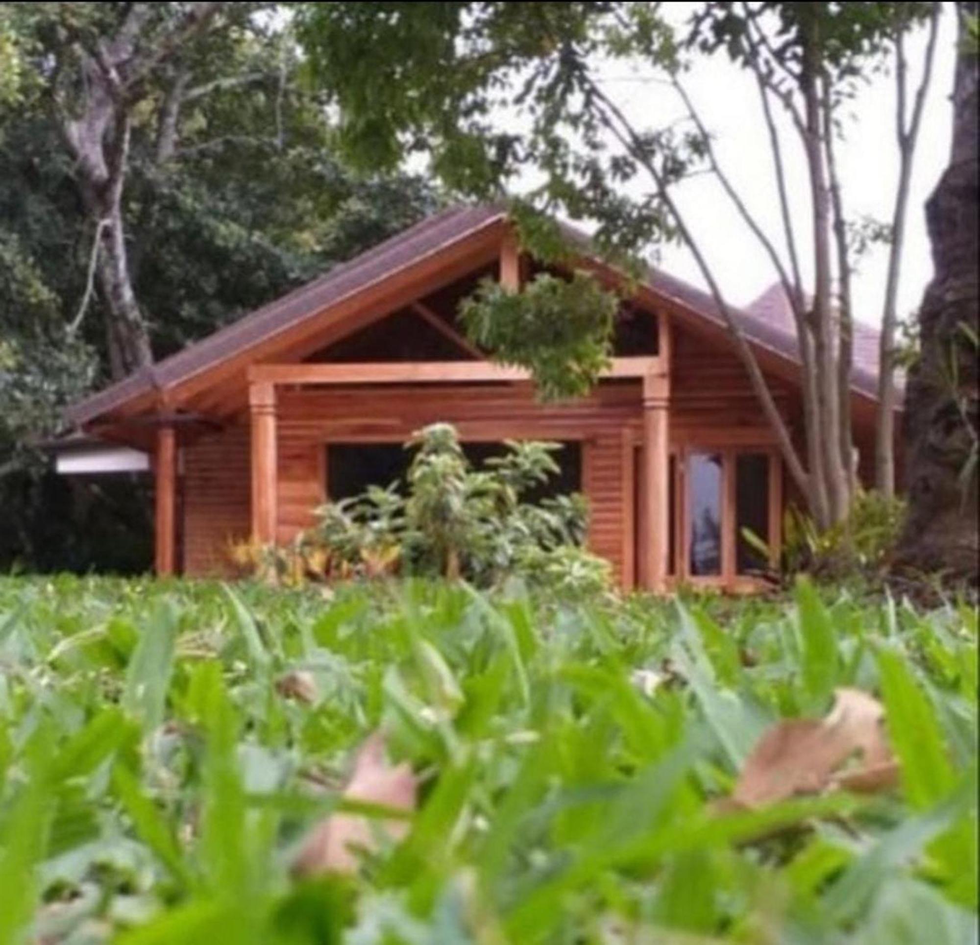 Cabanas La Laguna Cartago Bagian luar foto